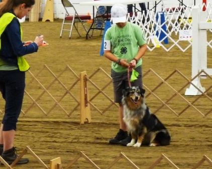 2018 State Dog show